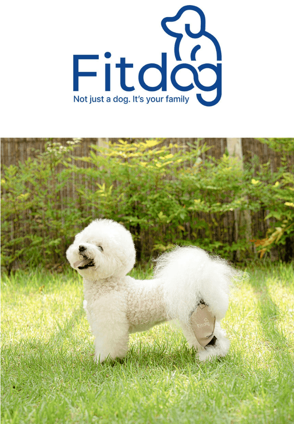 愛犬の膝を守る「犬体工学」設計のサポーター『Fitdog』が
日本上陸!本日より楽天市場にて公式販売を開始