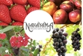 NAKAYAMA FRUITS SANCTUARY株式会社（果実の国カップルズ）