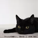 CAT FASHION MUSIC. 愛猫ギネスとロンドン暮らし。（Rina Takei）_1