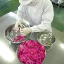 薔薇ジャム原料の前処理(ガリカローズ)