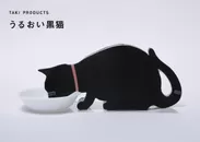 うるおい黒猫