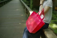 SiliBAG_Border_Red