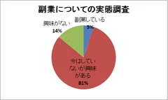 副業についての事態調査結果