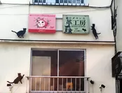 「Jetoy Japan STORE」と「猫のダヤンの革工房」ストア看板
