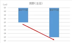 測定項目：視野(左目)