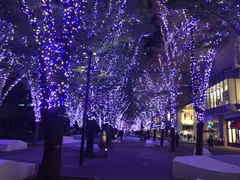 グランモール公園　イルミネーション