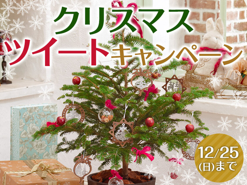 「我が家のクリスマス」をつぶやいてプレゼントが当たるキャンペーン実施中