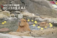 元祖カピバラの露天風呂 ～ゆず湯～ 3