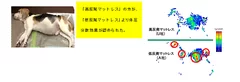 測定時の状態／「高反発マットレス」と「低反発マットレス」