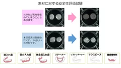 図4：素材に対する安全性評価試験