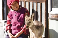 野生動物とのふれあい