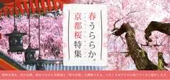 春うららか。京都桜特集