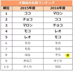 総合ランキング