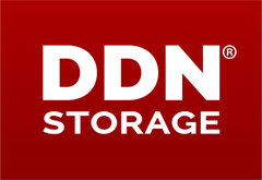 DDN Logo