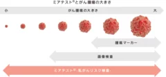 ミアテスト(R)と従来のがん検査について