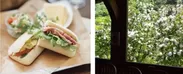 （左）ピクニックランチセット サラダ　プチデザート　ドリンク付 1,200円 （税込）　（右）窓越しのオオデマリ 満開時の様子