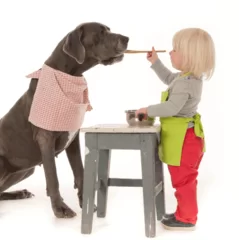 愛犬と新食習慣