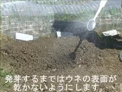 はたけ部　動画レッスン