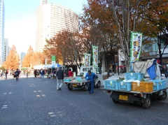 みなとみらい縁市　野菜＆キッチンカー(2)