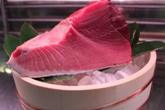 養殖マグロも宇和島名産