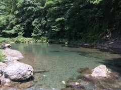 物部川流域の日ノ御子河川公園キャンプ場1