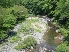 物部川流域の日ノ御子河川公園キャンプ場2