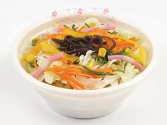 トップバリュ 彩り野菜タンメン