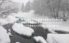 水資源‐南部かしわ-銀雪-