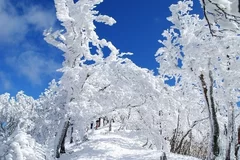 高見山