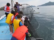 漁業体験