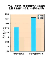 キューカンバー加賀太エキス10％配合化粧水塗擦による肌への柔軟性付与