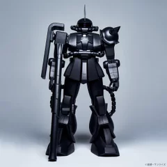 HY2M 1/12 MS-06S ZAKUII mastermind JAPAN Ver.　(3)