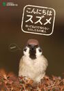 日本野鳥の会　知らなかったスズメの暮らしがわかる！『こんにちはスズメ』4月20日より無料頒布