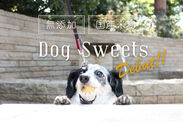 ベーグル専門店が作る犬のおやつ！飼い主も一緒に食べられる無添加・国産米粉を使用「ドッグスウィーツ」4/27発売