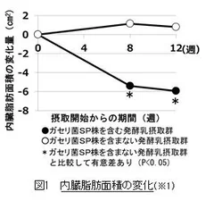 内臓脂肪面積の変化