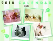 2018年版「Cats」表紙