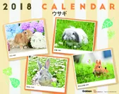 2018年版「ウサギ」表紙