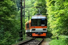 叡山電車「もみじのトンネル