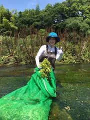 若村麻由美・静岡県柿田川2