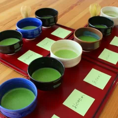 12品種の抹茶飲み比べ