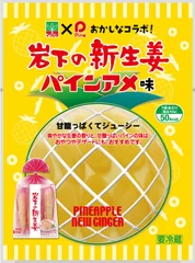 『岩下の新生姜 パインアメ味』商品パッケージ