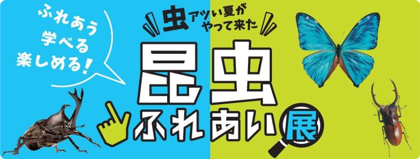 “虫アツい夏”に、驚きと発見を体感!
小田急百貨店新宿店「昆虫ふれあい展」8月14日から開催