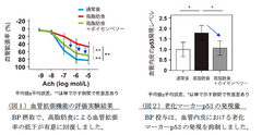 ブルボン、ボイセンベリー果汁由来ポリフェノールが血管の老化を抑制することを確認～国際学術雑誌に論文発表～