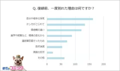 調査レポート