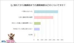 調査レポート