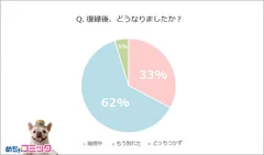 調査レポート