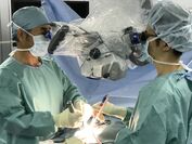 世界初！後遺症が残らない脊椎手術　東京・丸の内に『白石脊髄クリニック」がオープン　海外で高い支持を集める治療「白石法」とは？