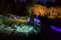 Glow with Night Garden Project in Rokko 提灯行列ランドスケープ 2017