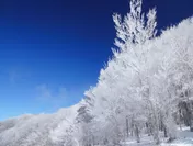 【界阿蘇】樹氷トレッキングツアーS
