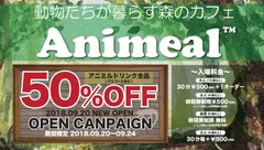 オープンキャンペーン50%OFF